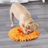 Tooth slow food pet training blanket