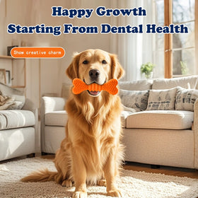 Dog Toothbrush Chew Stick Toy — Safe Teeth Cleaning Dental Chew Bones for Small, Medium & Large Dogs