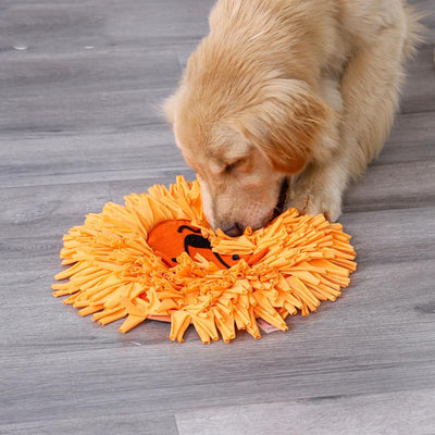 Tooth slow food pet training blanket