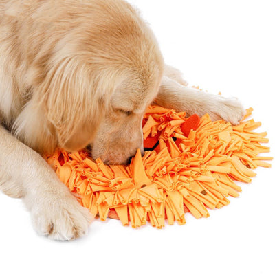 Tooth slow food pet training blanket